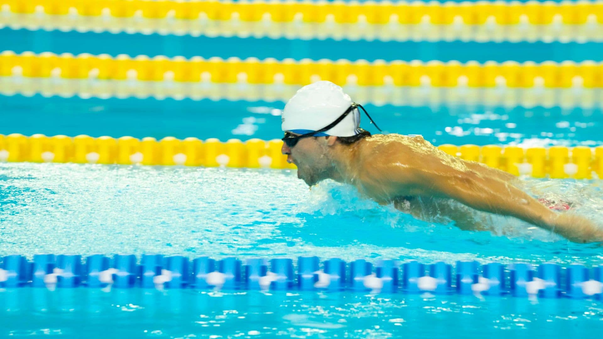 Segunda Copa Natación Ñuñoa Máster recibió a cerca de 800 nadadores