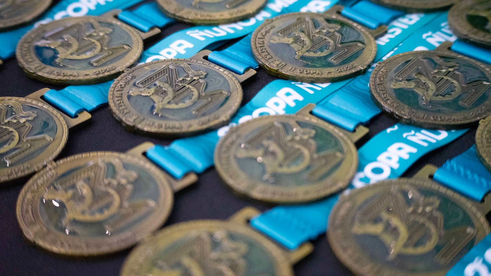 Segunda Copa Natación Ñuñoa Máster recibió a cerca de 800 nadadores