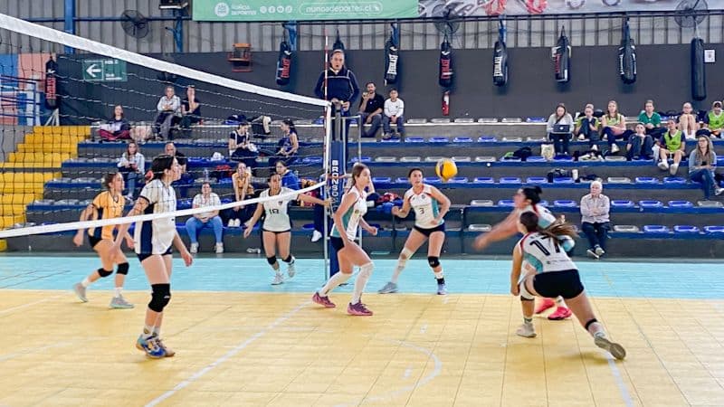 Provincial Juvenil de Vóleibol JDE 2025 se jugó en el Polideportivo