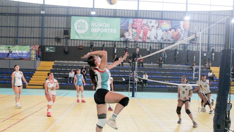 Provincial Juvenil de Vóleibol JDE 2025 se jugó en el Polideportivo