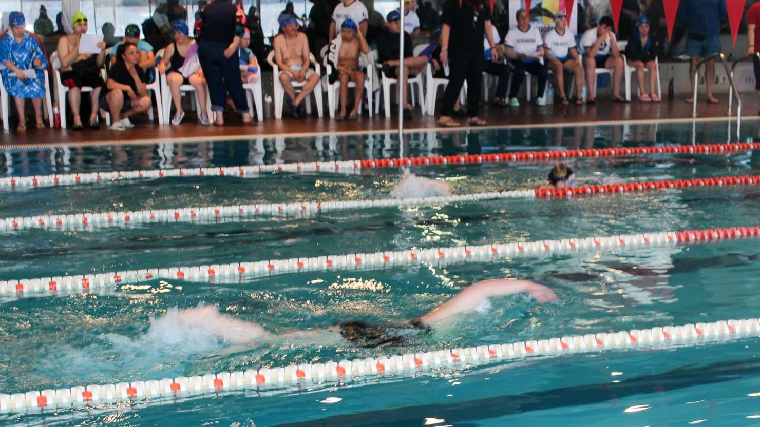 Torneo de Natación Neurodivergentes tuvo a más de 100 competidores