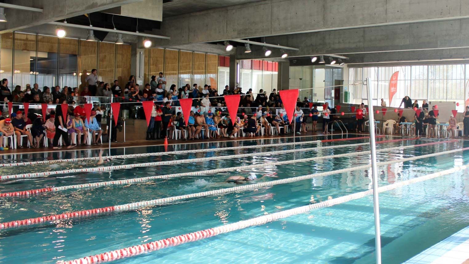 Torneo de Natación Neurodivergentes tuvo a más de 100 competidores
